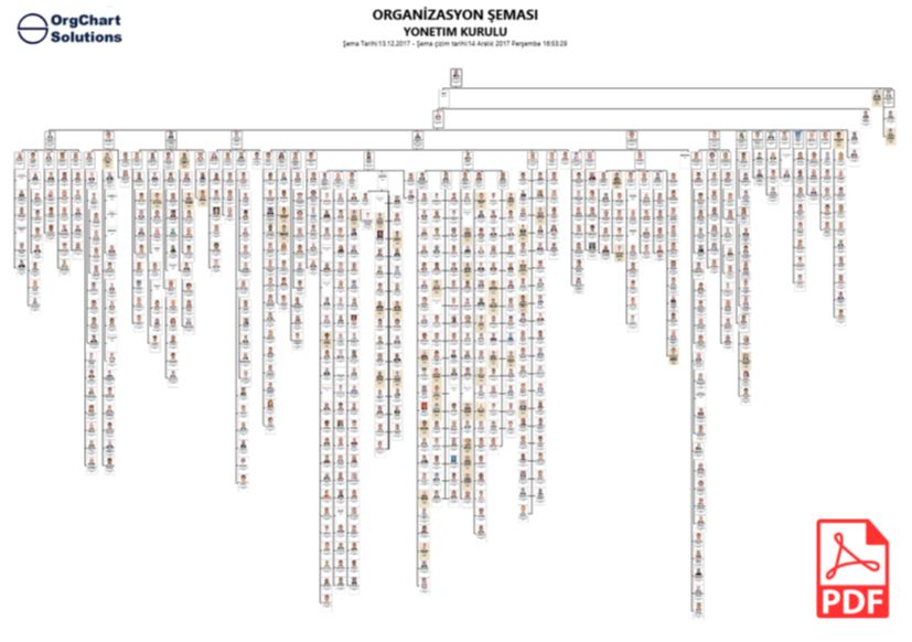 Detaylı Raporlama ve Analiz Grafikleri